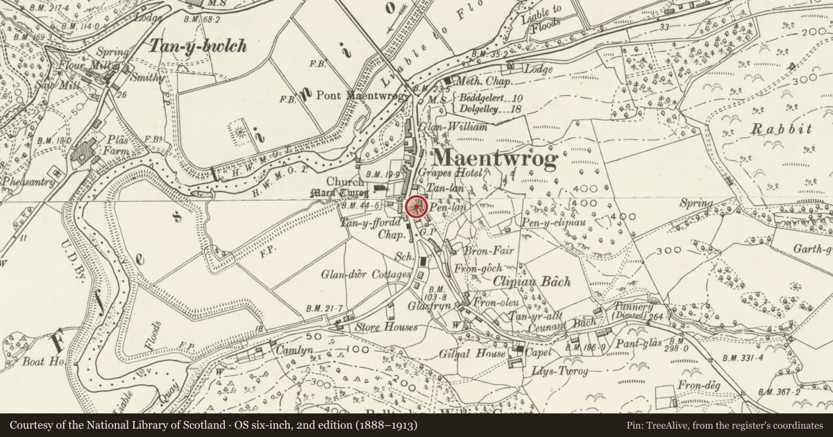 Ordnance Survey six-inch map, 2nd edition (1888–1913) covering the location of Steps up to Penlan, with flanking walls, Maentwrog, Gwynedd, with a pin at the register's coordinates