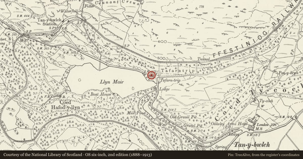 Ordnance Survey six-inch map, 2nd edition (1888–1913) covering the location of Tafarn Trip, Maentwrog, Gwynedd, with a pin at the register's coordinates