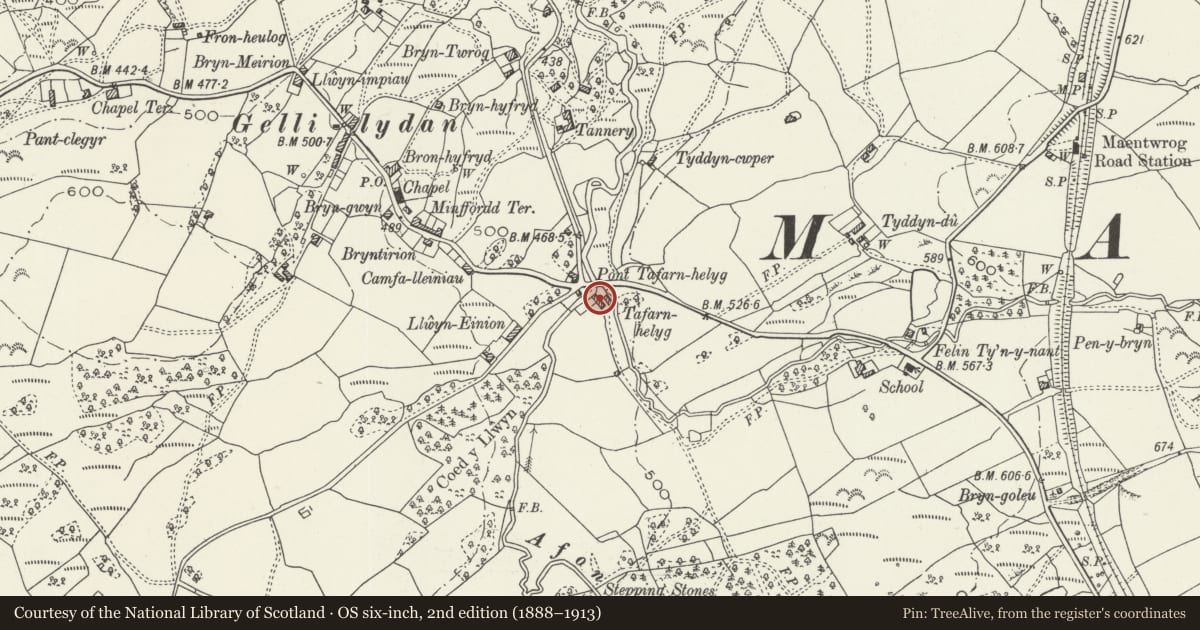 Ordnance Survey six-inch map, 2nd edition (1888–1913) covering the location of Tafarn-helyg, Maentwrog, Gwynedd, with a pin at the register's coordinates