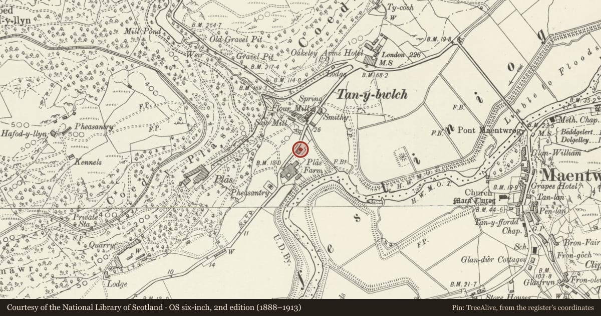 Ordnance Survey six-inch map, 2nd edition (1888–1913) covering the location of The White Barn, Maentwrog, Gwynedd, with a pin at the register's coordinates
