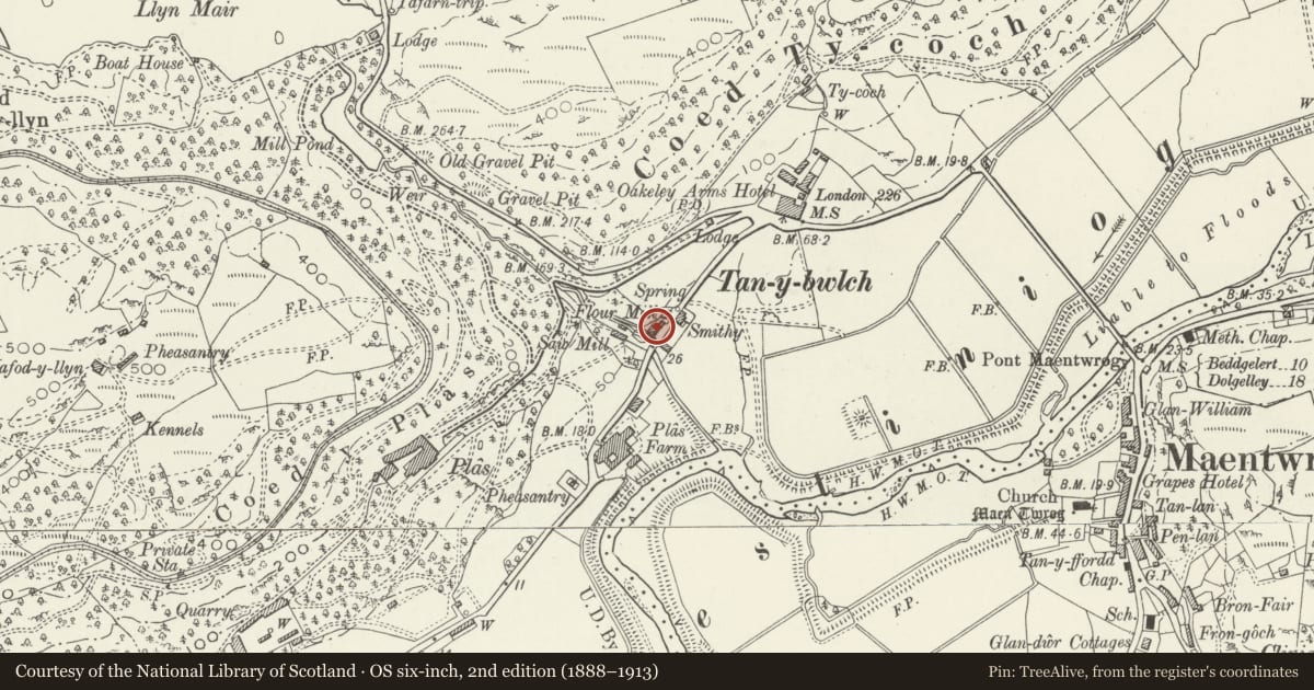 Ordnance Survey six-inch map, 2nd edition (1888–1913) covering the location of Ty'r Felin, Maentwrog, Gwynedd, with a pin at the register's coordinates