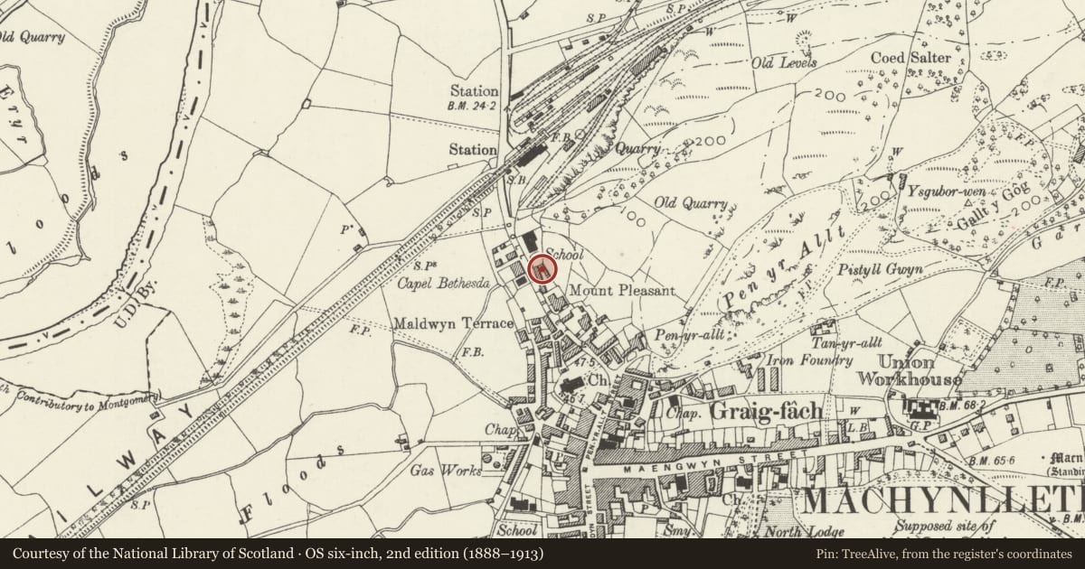 Ordnance Survey six-inch map, 2nd edition (1888–1913) covering the location of Morris Cottages, Machynlleth, Powys, with a pin at the register's coordinates