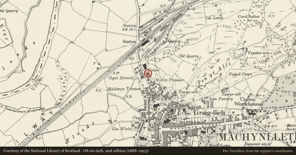 Ordnance Survey six-inch map, 2nd edition (1888–1913) covering the location of Morris Cottages, Machynlleth, Powys, with a pin at the register's coordinates