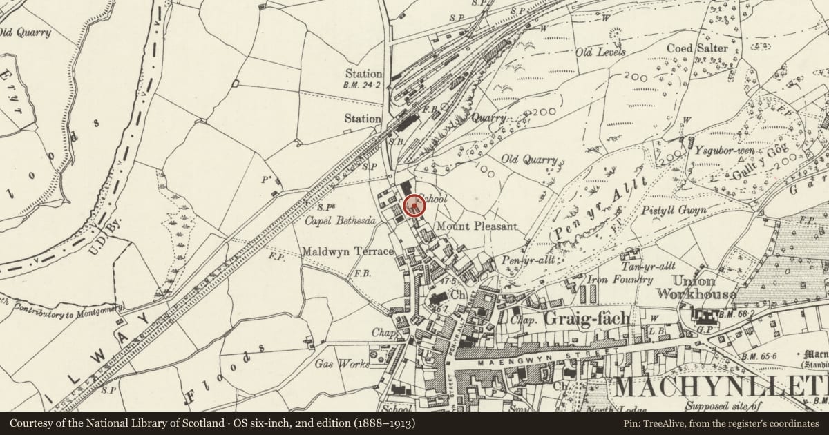 Ordnance Survey six-inch map, 2nd edition (1888–1913) covering the location of Morris Cottages, Machynlleth, Powys, with a pin at the register's coordinates
