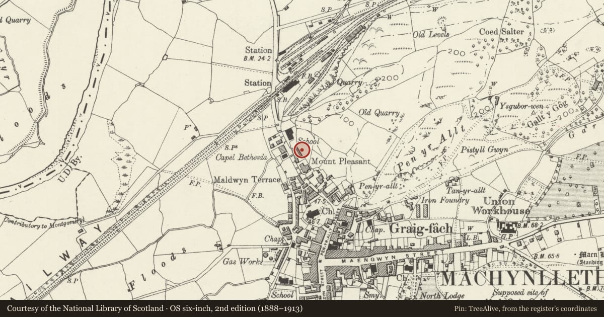 Ordnance Survey six-inch map, 2nd edition (1888–1913) covering the location of Cottage to rear of Morris Cottage, Machynlleth, Powys, with a pin at the register's coordinates