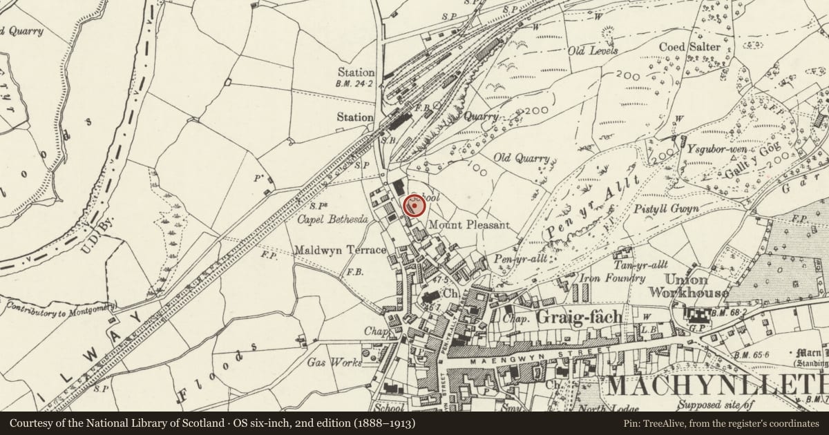 Ordnance Survey six-inch map, 2nd edition (1888–1913) covering the location of Cottage to rear of Morris Cottages, Machynlleth, Powys, with a pin at the register's coordinates
