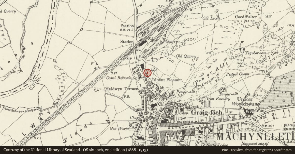 Ordnance Survey six-inch map, 2nd edition (1888–1913) covering the location of Cottage to rear of Morris Cottages, Machynlleth, Powys, with a pin at the register's coordinates
