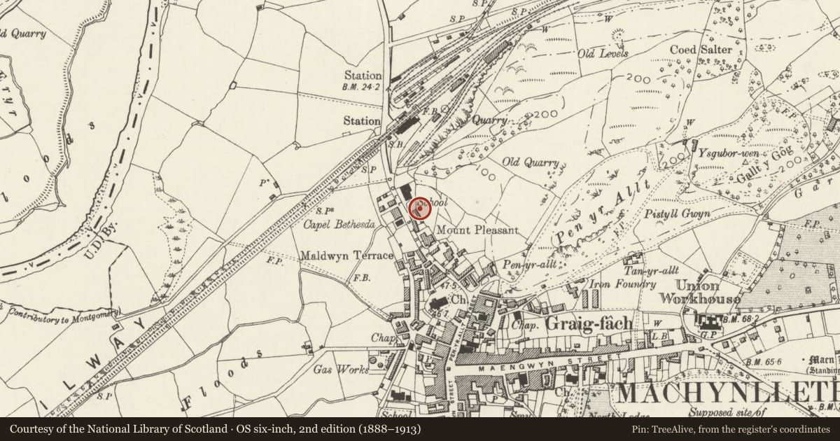 Ordnance Survey six-inch map, 2nd edition (1888–1913) covering the location of Cottage to rear of Morris Cottages, Machynlleth, Powys, with a pin at the register's coordinates