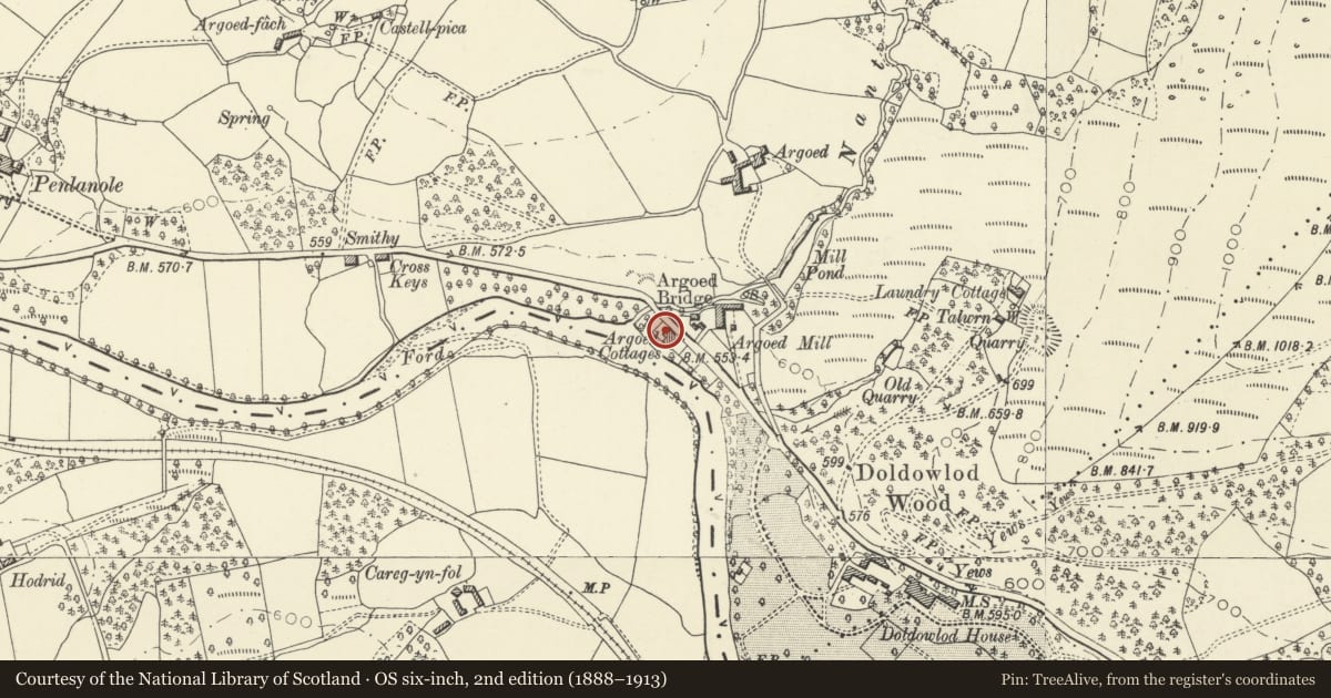 Ordnance Survey six-inch map, 2nd edition (1888–1913) covering the location of No.3 Argoed Cottages, Nantmel, Powys, with a pin at the register's coordinates