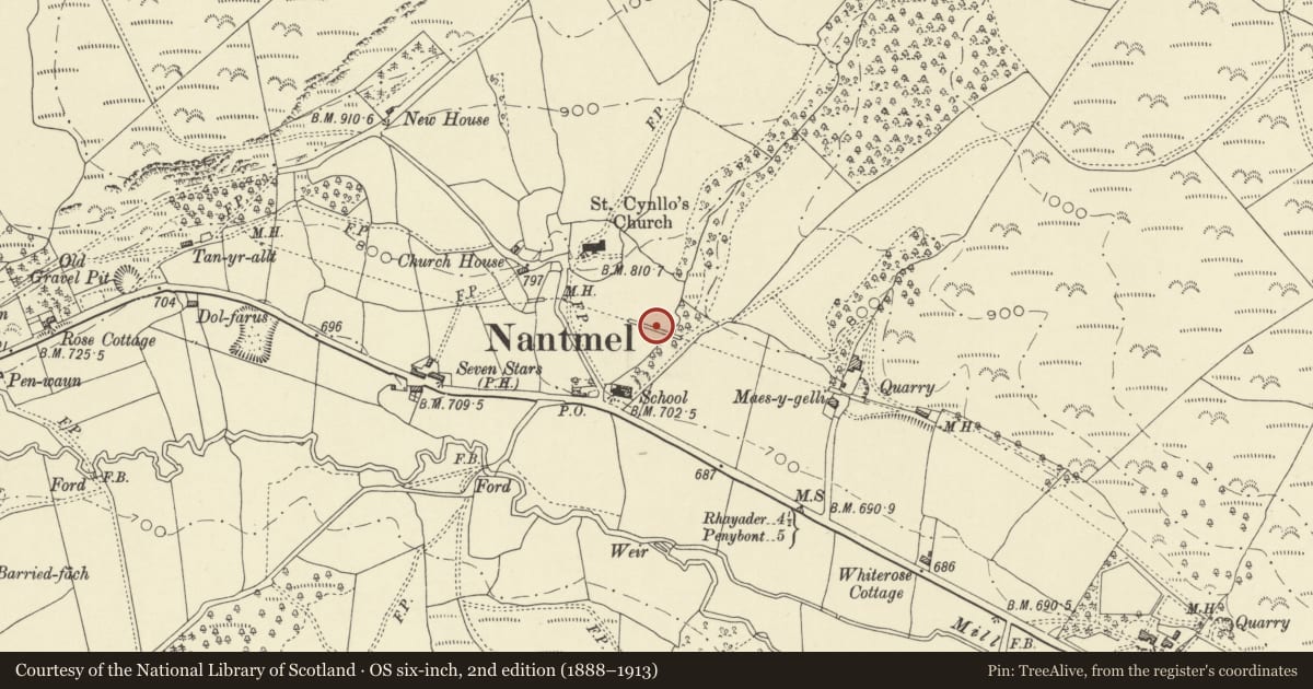 Ordnance Survey six-inch map, 2nd edition (1888–1913) covering the location of Aqueduct SE of Church of St Cynllo, Nantmel, Powys, with a pin at the register's coordinates