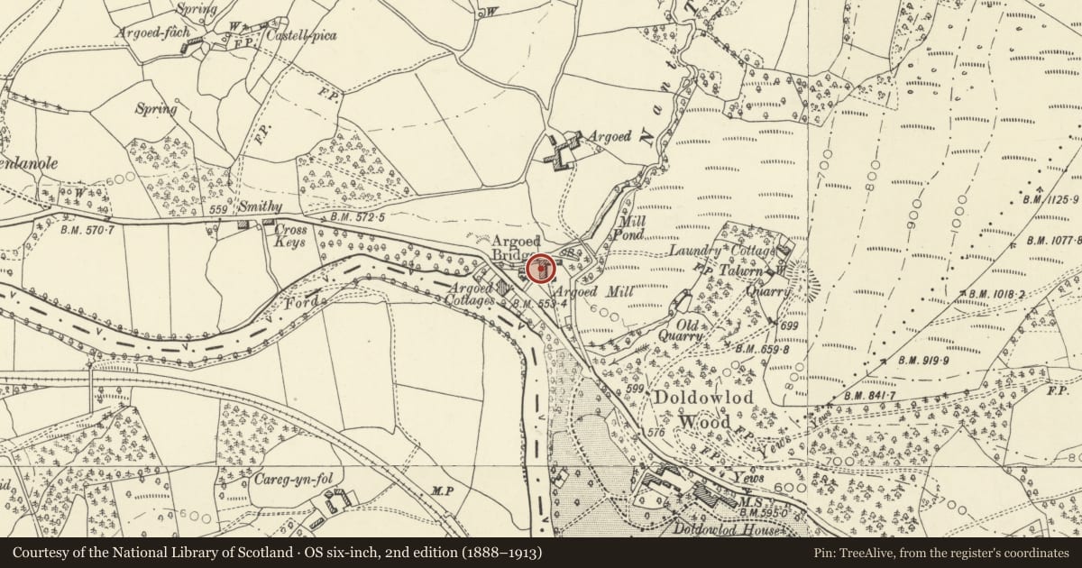 Ordnance Survey six-inch map, 2nd edition (1888–1913) covering the location of Argoed Mill Cottage, Nantmel, Powys, with a pin at the register's coordinates