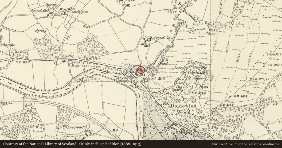 Ordnance Survey six-inch map, 2nd edition (1888–1913) covering the location of Argoed Mill Gallery, Nantmel, Powys, with a pin at the register's coordinates