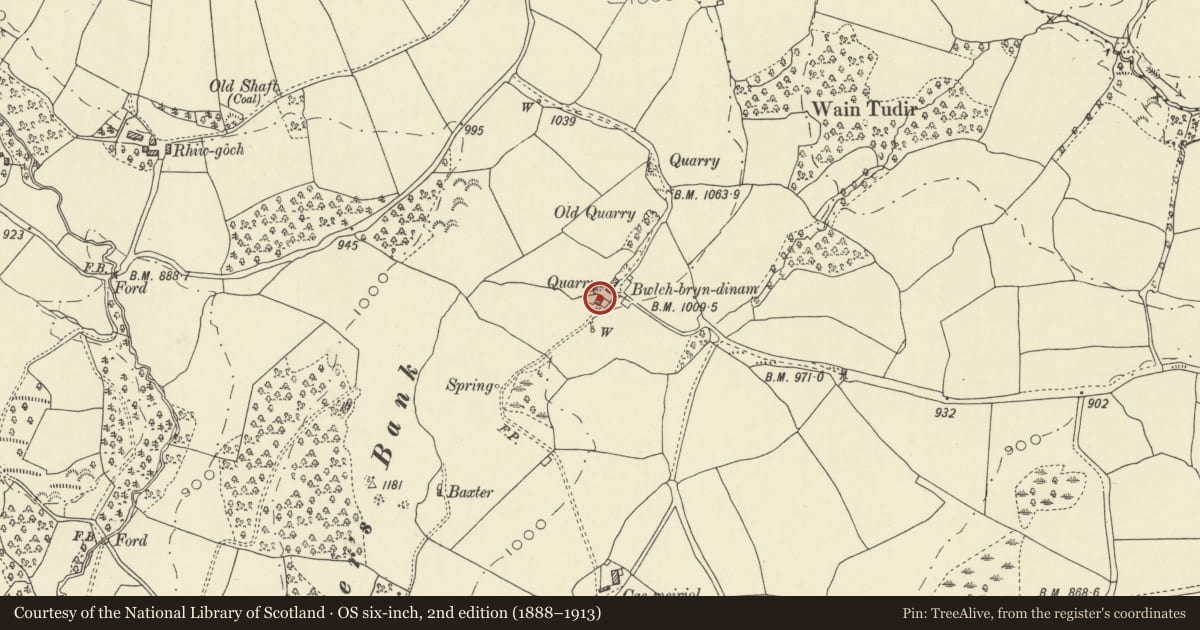 Ordnance Survey six-inch map, 2nd edition (1888–1913) covering the location of Bwlchbryndinam, Nantmel, Powys, with a pin at the register's coordinates