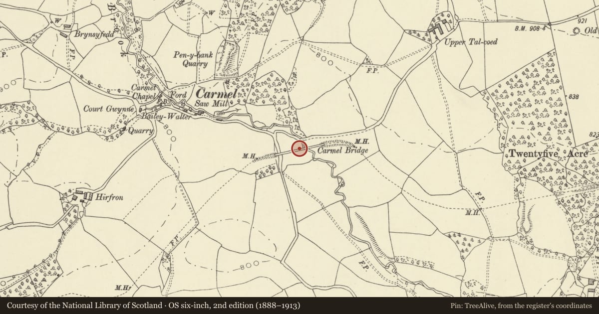 Ordnance Survey six-inch map, 2nd edition (1888–1913) covering the location of Carmel Aqueduct, Nantmel, Powys, with a pin at the register's coordinates