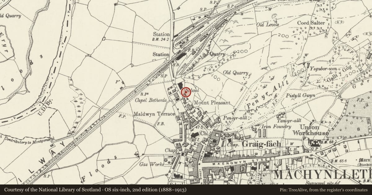 Ordnance Survey six-inch map, 2nd edition (1888–1913) covering the location of Cottage to rear of Morris Cottages, Machynlleth, Powys, with a pin at the register's coordinates