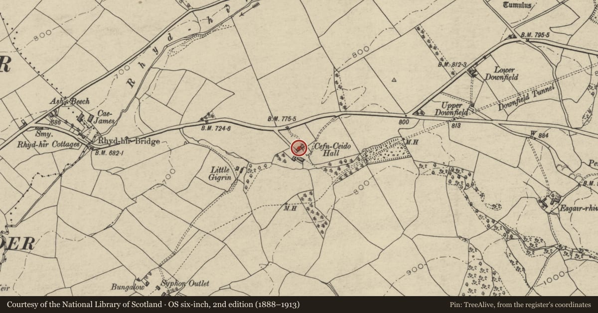 Ordnance Survey six-inch map, 2nd edition (1888–1913) covering the location of Cart shed and granary at Cefn Ceido Farm, Nantmel, Powys, with a pin at the register's coordinates