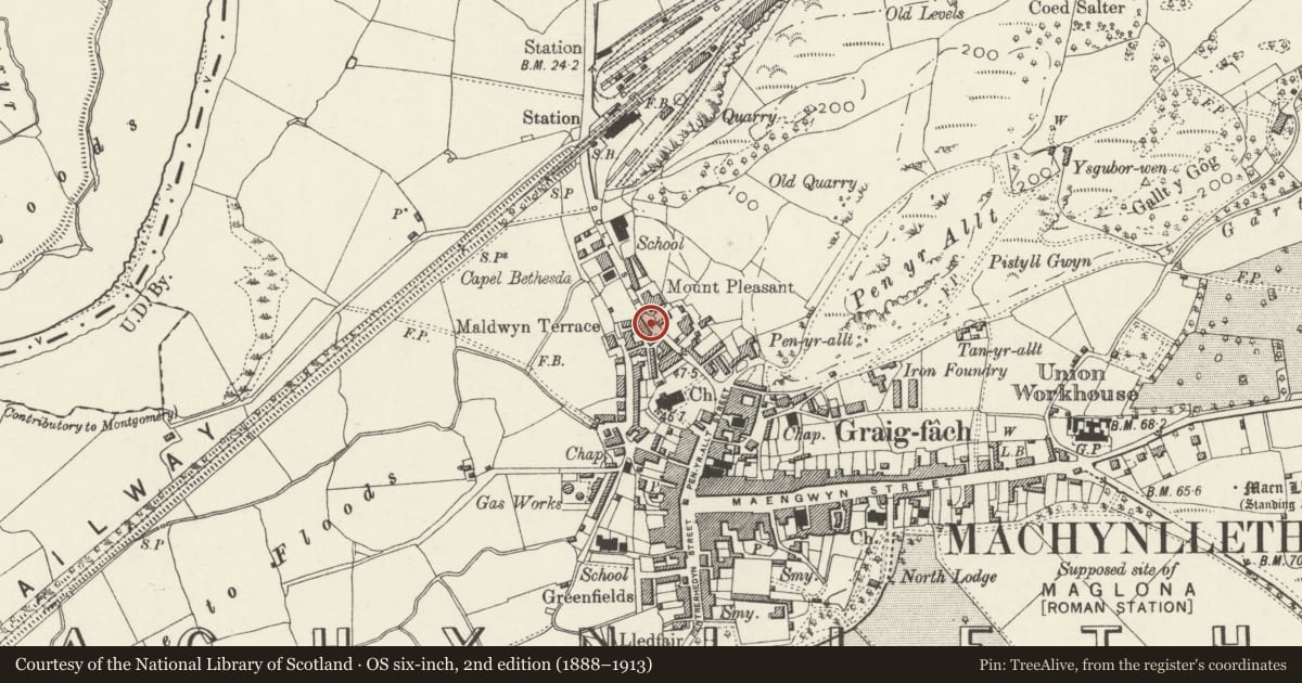 Ordnance Survey six-inch map, 2nd edition (1888–1913) covering the location of Glyndwr Hotel, Machynlleth, Powys, with a pin at the register's coordinates
