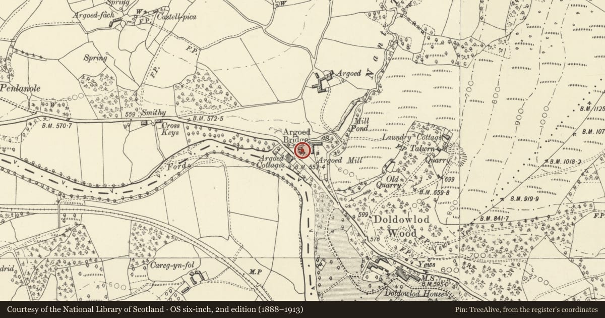 Ordnance Survey six-inch map, 2nd edition (1888–1913) covering the location of Former cart shed and workshop at Argoed Mill, Nantmel, Powys, with a pin at the register's coordinates