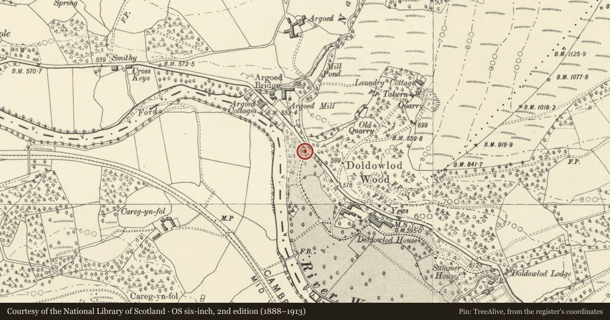 Ordnance Survey six-inch map, 2nd edition (1888–1913) covering the location of Gate piers, gates and attached walls at N entrance to Doldowlod House, Nantmel, Powys, with a pin at the register's coordinates