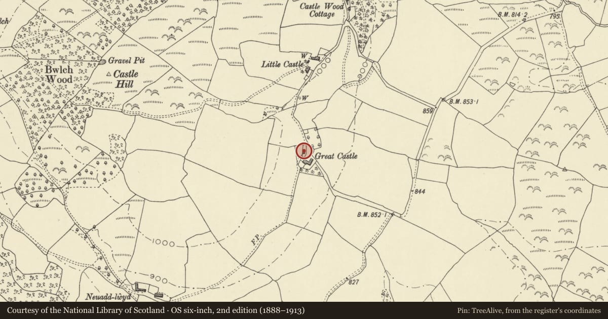 Ordnance Survey six-inch map, 2nd edition (1888–1913) covering the location of Great Castle Farmhouse, Nantmel, Powys, with a pin at the register's coordinates