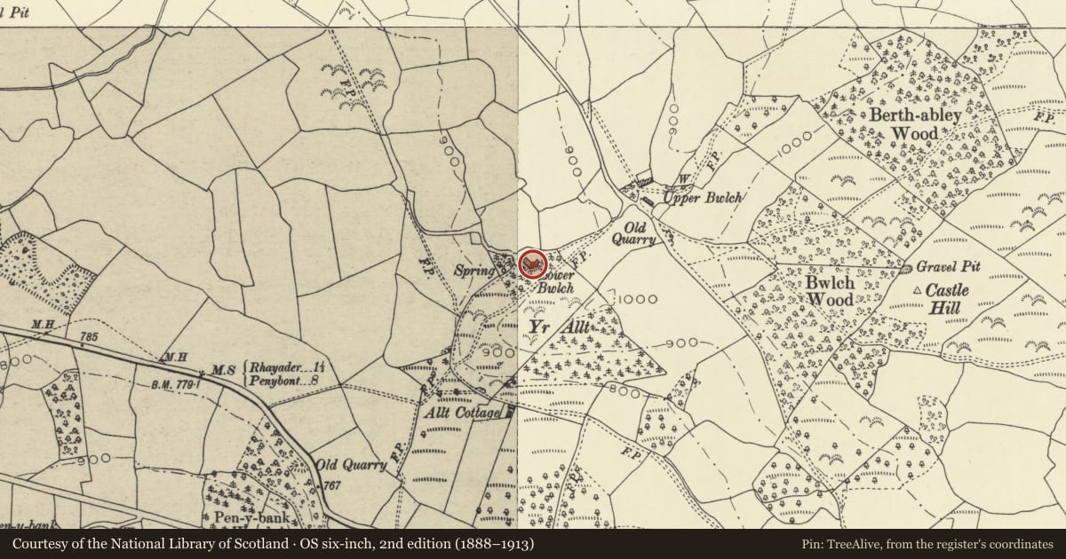 Ordnance Survey six-inch map, 2nd edition (1888–1913) covering the location of Lower Bwlch, including attached farm range, Nantmel, Powys, with a pin at the register's coordinates