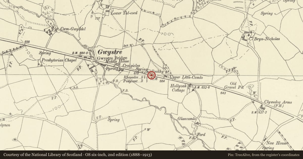 Ordnance Survey six-inch map, 2nd edition (1888–1913) covering the location of Milestone on A44, Nantmel, Powys, with a pin at the register's coordinates