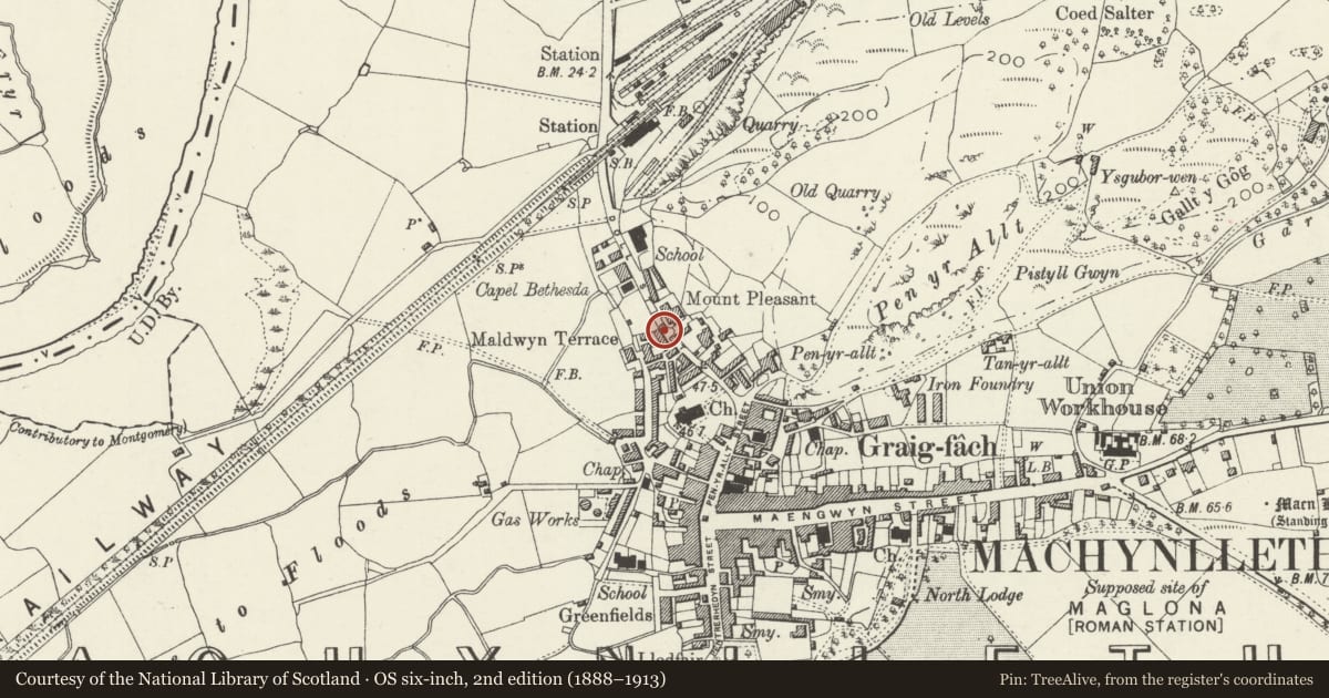Ordnance Survey six-inch map, 2nd edition (1888–1913) covering the location of 14 Heol-Y-Doll, Machynlleth, Powys, with a pin at the register's coordinates