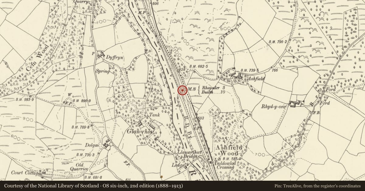 Ordnance Survey six-inch map, 2nd edition (1888–1913) covering the location of Milestone on A470, Nantmel, Powys, with a pin at the register's coordinates