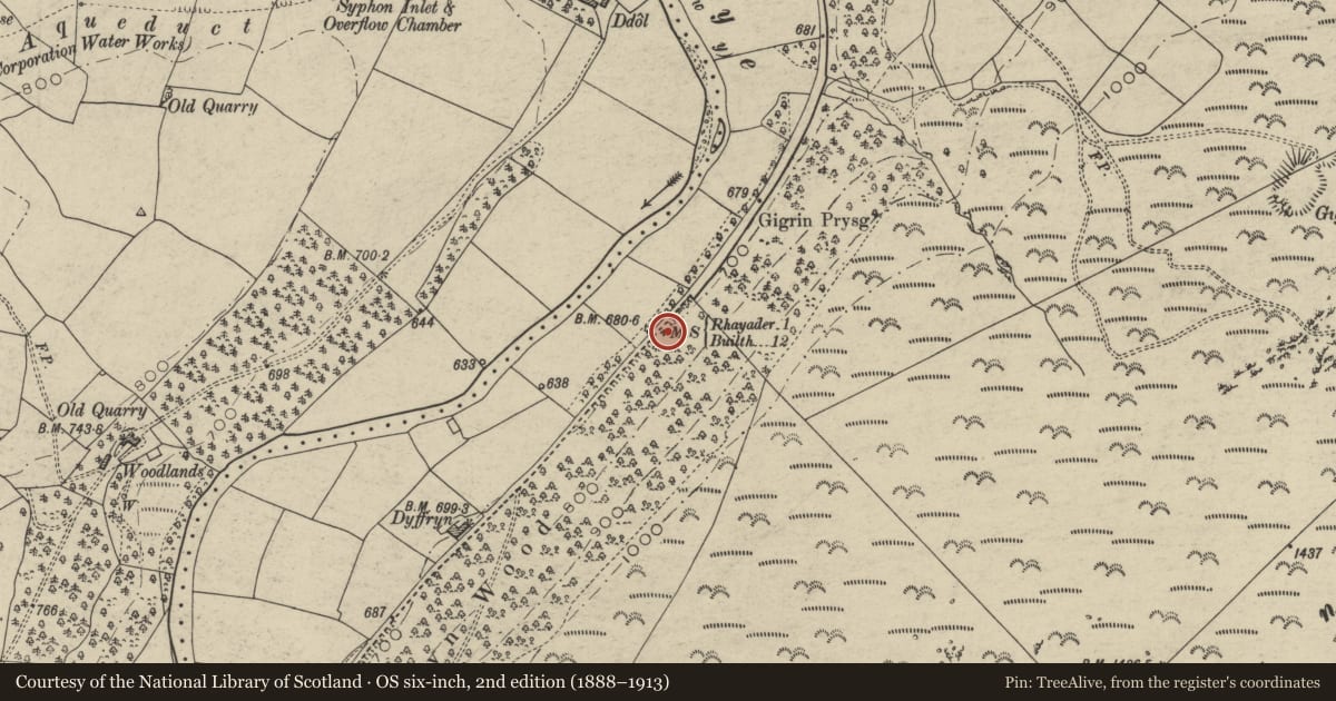 Ordnance Survey six-inch map, 2nd edition (1888–1913) covering the location of Milestone on A470, Nantmel, Powys, with a pin at the register's coordinates