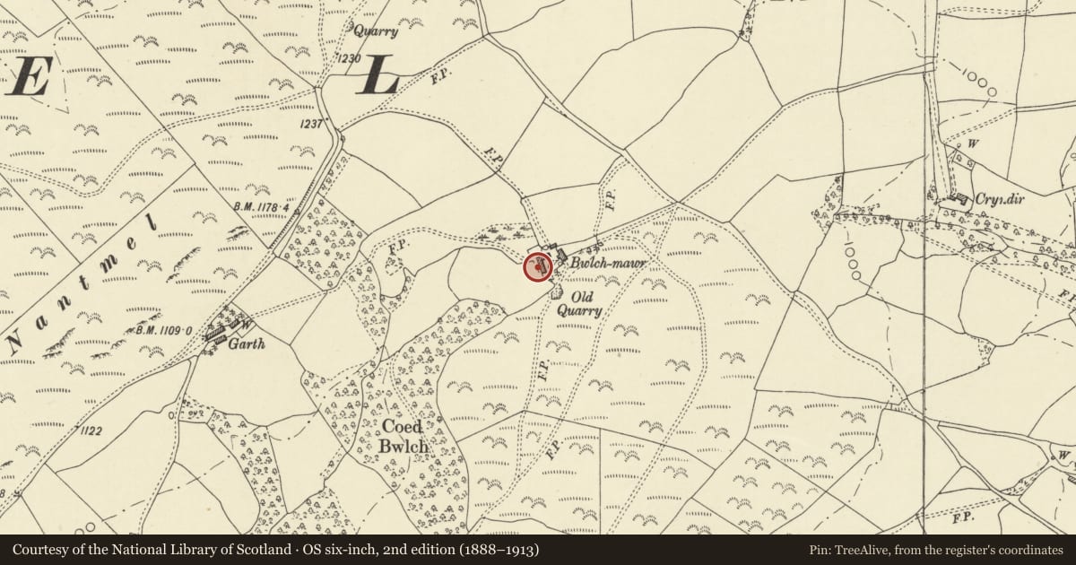 Ordnance Survey six-inch map, 2nd edition (1888–1913) covering the location of Multi-purpose L-plan farm range at Bwlch Mawr Farm, Nantmel, Powys, with a pin at the register's coordinates