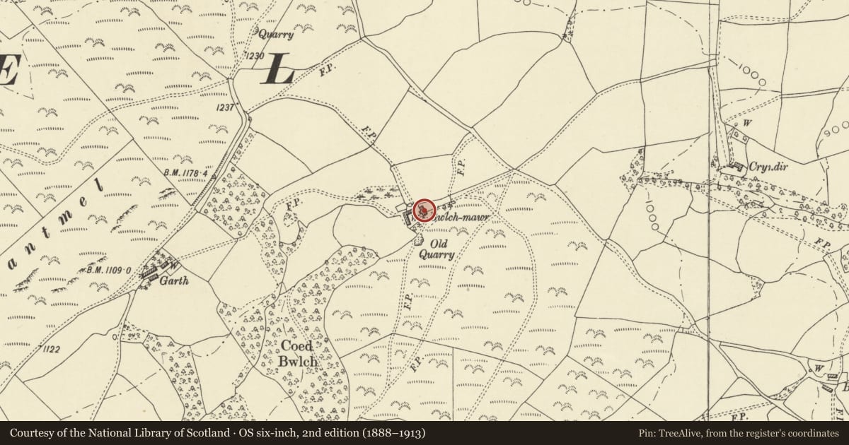 Ordnance Survey six-inch map, 2nd edition (1888–1913) covering the location of Old house at Bwlch Mawr, Nantmel, Powys, with a pin at the register's coordinates
