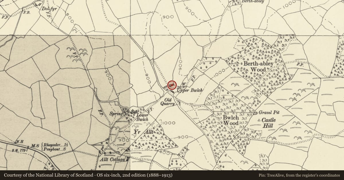 Ordnance Survey six-inch map, 2nd edition (1888–1913) covering the location of Upper Bwlch, including attached farm ranges, Nantmel, Powys, with a pin at the register's coordinates