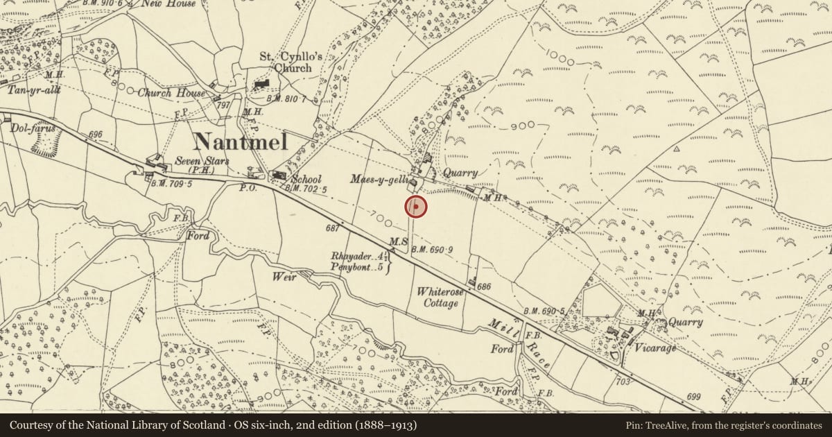 Ordnance Survey six-inch map, 2nd edition (1888–1913) covering the location of Water conduit at Maes-y-gelli Farm, Nantmel, Powys, with a pin at the register's coordinates