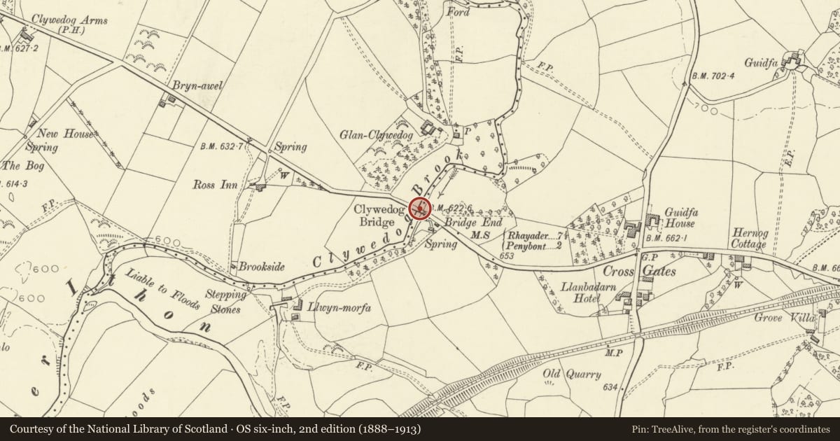 Ordnance Survey six-inch map, 2nd edition (1888–1913) covering the location of Clywedog Bridge (partly in Llanbadarn Fawr), Nantmel, Powys, with a pin at the register's coordinates