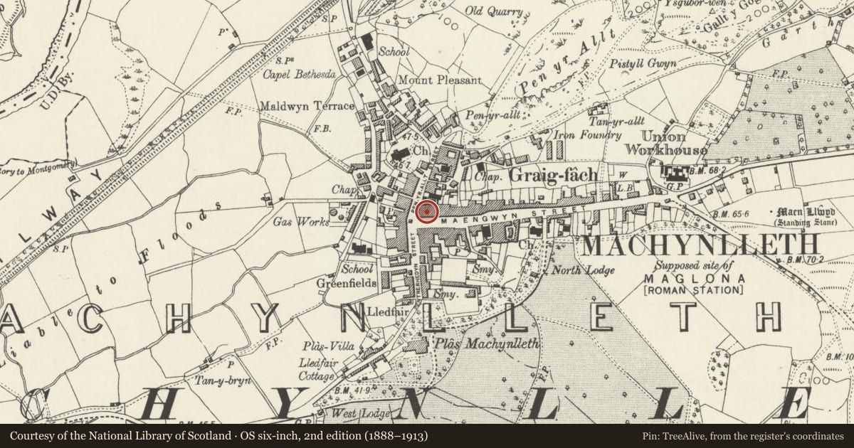 Ordnance Survey six-inch map, 2nd edition (1888–1913) covering the location of Bargain Carfts & Gifts, Machynlleth, Powys, with a pin at the register's coordinates