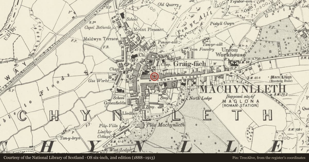 Ordnance Survey six-inch map, 2nd edition (1888–1913) covering the location of 19 Heol Maengwyn, Machynlleth, Powys, with a pin at the register's coordinates