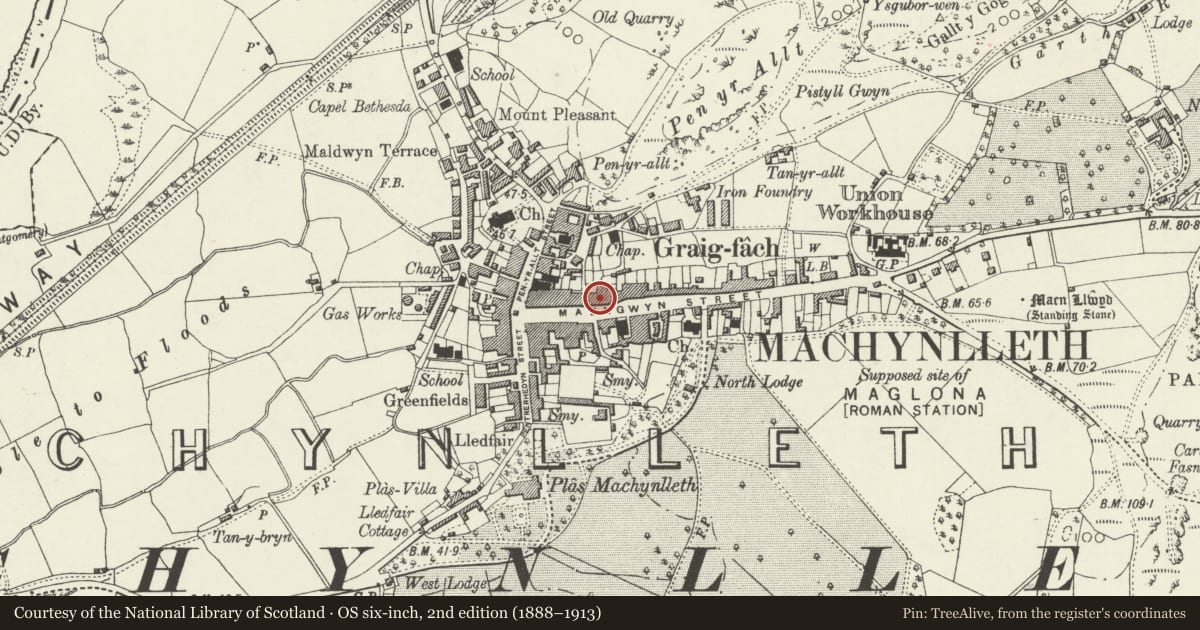 Ordnance Survey six-inch map, 2nd edition (1888–1913) covering the location of Spectrum, Machynlleth, Powys, with a pin at the register's coordinates