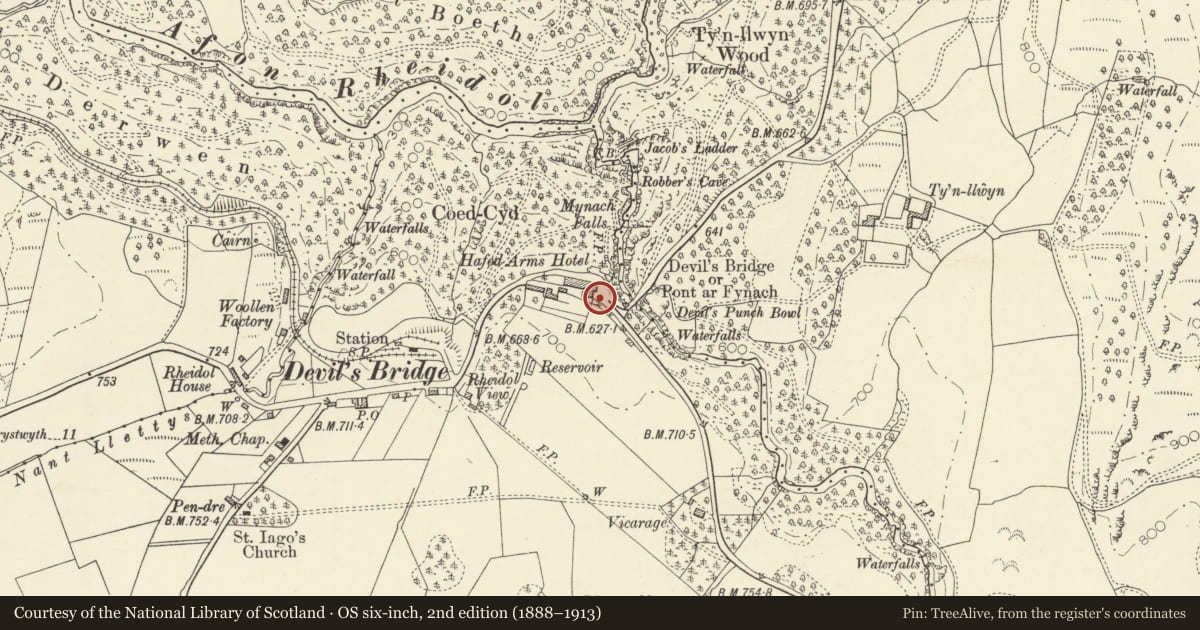 Ordnance Survey six-inch map, 2nd edition (1888–1913) covering the location of Automobile Association Telephone Call Box, Pontarfynach, Ceredigion, with a pin at the register's coordinates