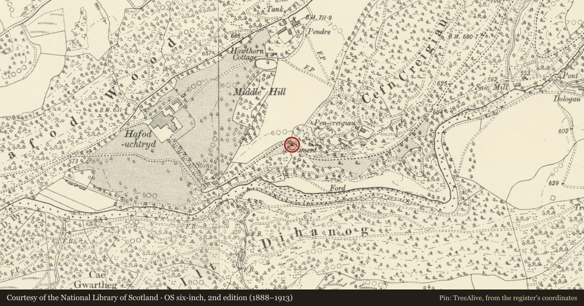 Ordnance Survey six-inch map, 2nd edition (1888–1913) covering the location of Bridge over stream to W of Bedford Monument, Pontarfynach, Ceredigion, with a pin at the register's coordinates