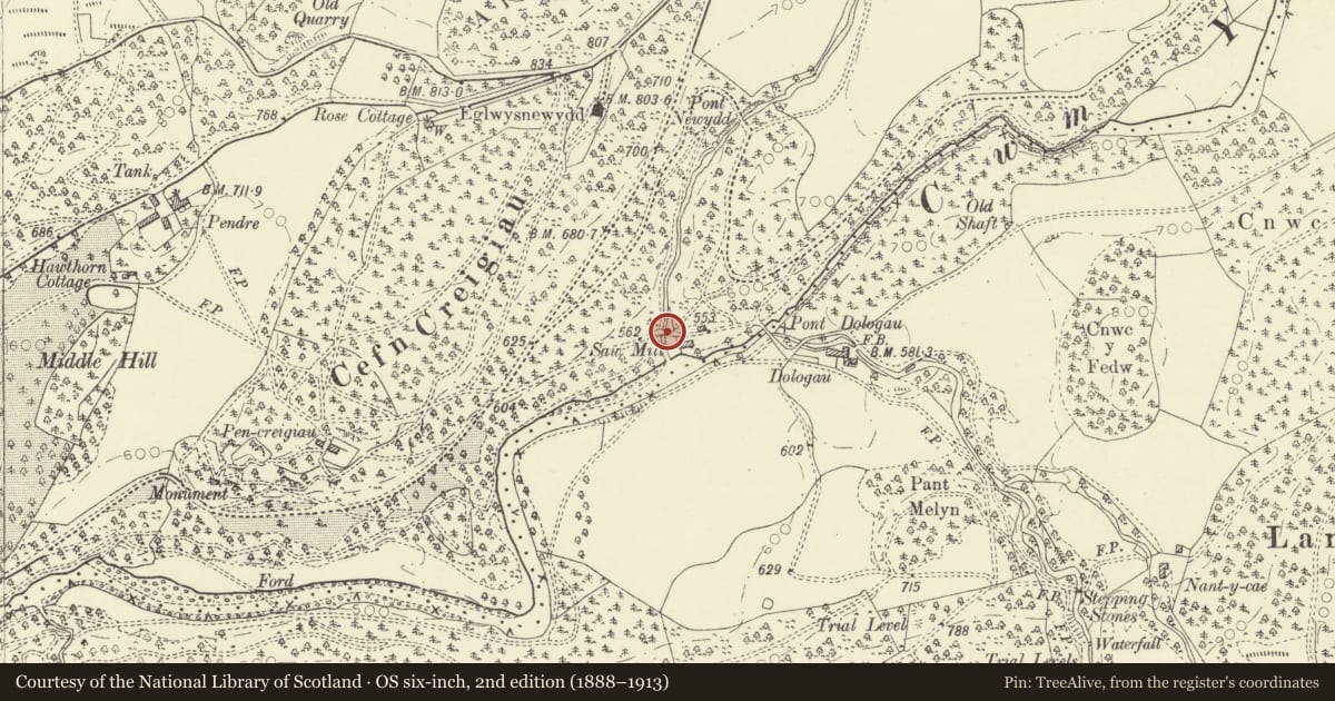 Ordnance Survey six-inch map, 2nd edition (1888–1913) covering the location of Bridge over the Nant Peiran, Pontarfynach, Ceredigion, with a pin at the register's coordinates