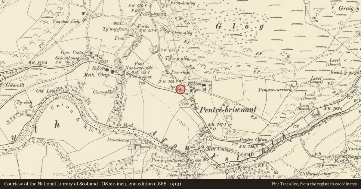 Ordnance Survey six-inch map, 2nd edition (1888–1913) covering the location of Briwnant Cottage and attached cottage, Pontarfynach, Ceredigion, with a pin at the register's coordinates
