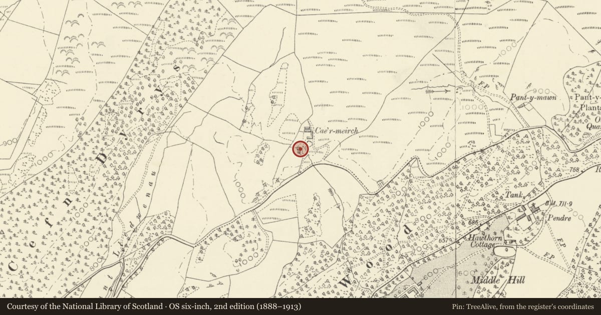 Ordnance Survey six-inch map, 2nd edition (1888–1913) covering the location of Cae'r meirch, Pontarfynach, Ceredigion, with a pin at the register's coordinates