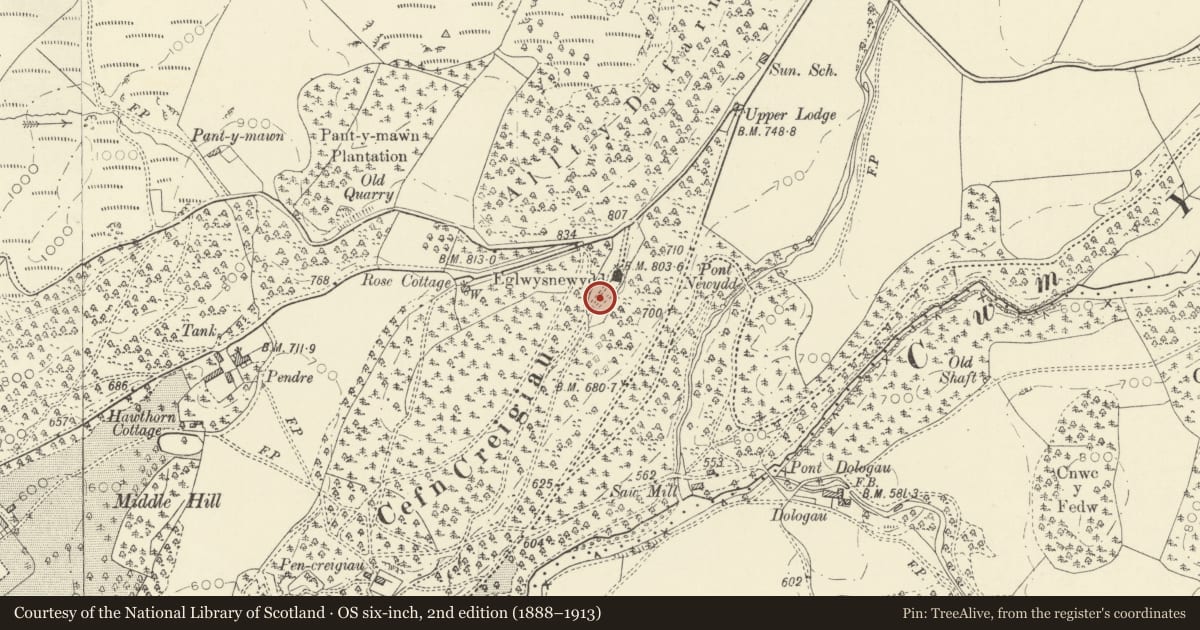 Ordnance Survey six-inch map, 2nd edition (1888–1913) covering the location of Enclosing rails and walls to Thomas Johnes grave in Eglwys Newydd churchyard, Pontarfynach, Ceredigion, with a pin at the register's coordinates