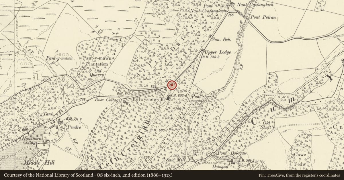 Ordnance Survey six-inch map, 2nd edition (1888–1913) covering the location of Entrance gates and piers to Eglwys Newydd church, Pontarfynach, Ceredigion, with a pin at the register's coordinates