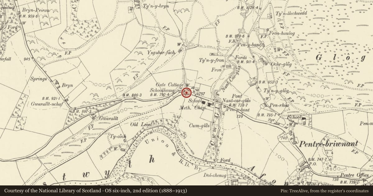 Ordnance Survey six-inch map, 2nd edition (1888–1913) covering the location of Gatepiers and gates at Hafod Lodge, Pontarfynach, Ceredigion, with a pin at the register's coordinates