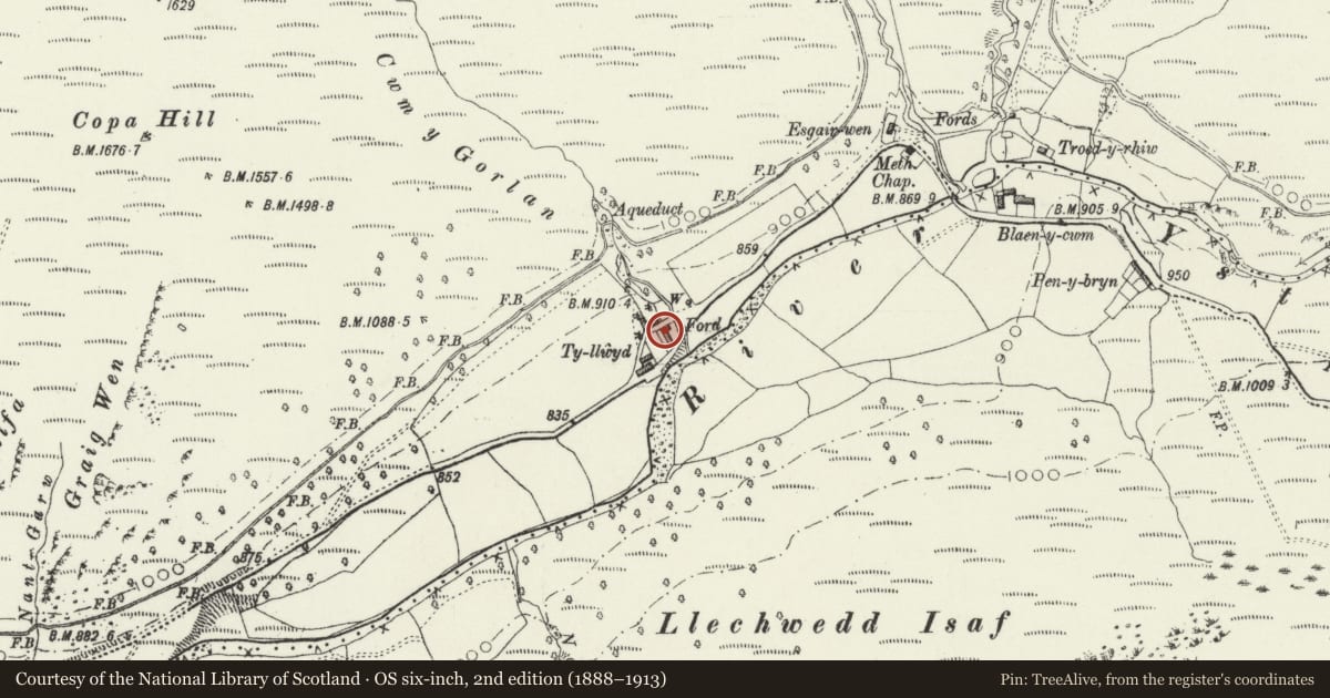 Ordnance Survey six-inch map, 2nd edition (1888–1913) covering the location of Outbuilding at Ty-llwyd, Pontarfynach, Ceredigion, with a pin at the register's coordinates