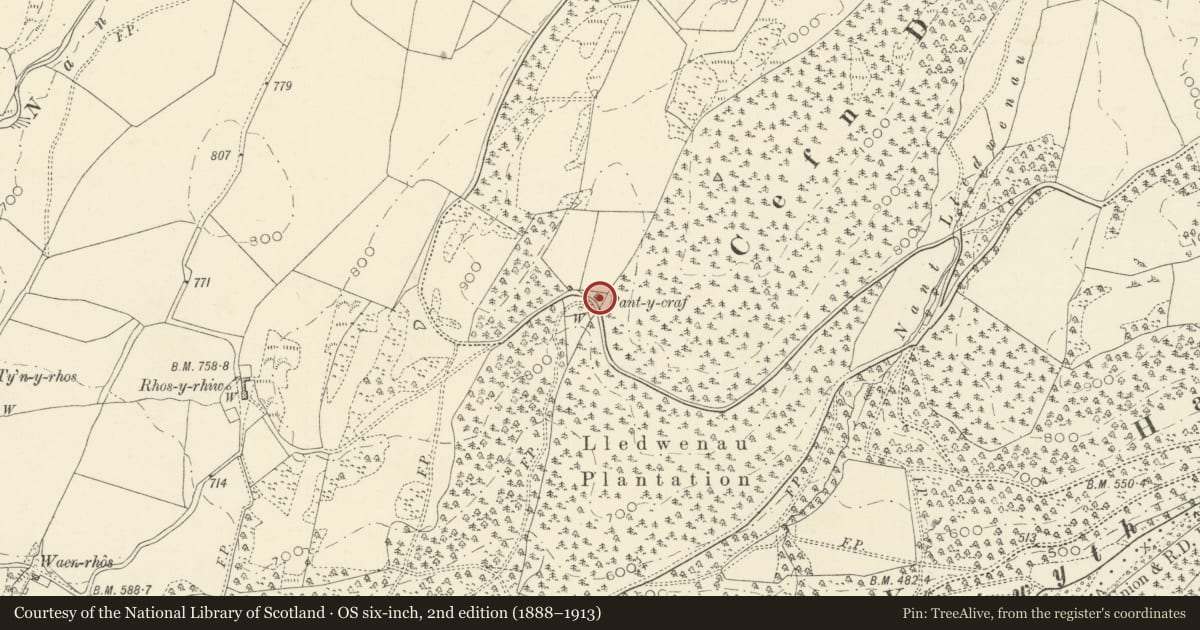 Ordnance Survey six-inch map, 2nd edition (1888–1913) covering the location of Pantycraf, Pontarfynach, Ceredigion, with a pin at the register's coordinates