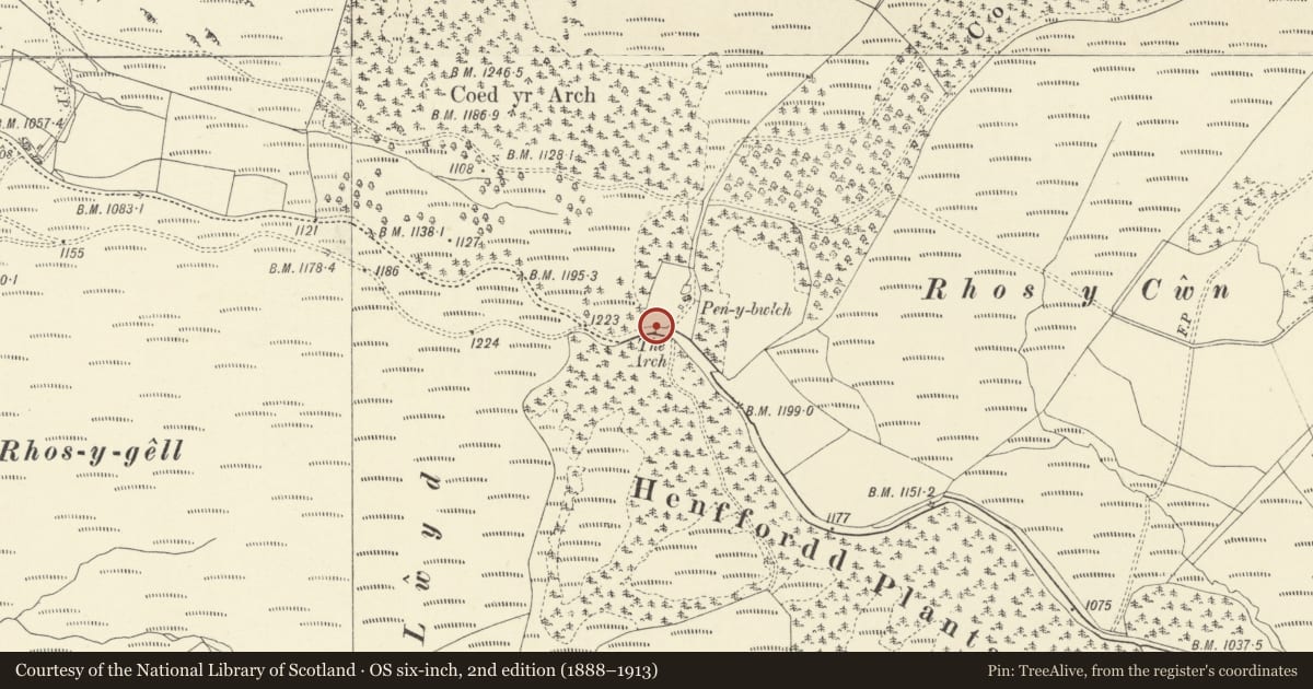 Ordnance Survey six-inch map, 2nd edition (1888–1913) covering the location of The Jubilee Arch, Pontarfynach, Ceredigion, with a pin at the register's coordinates