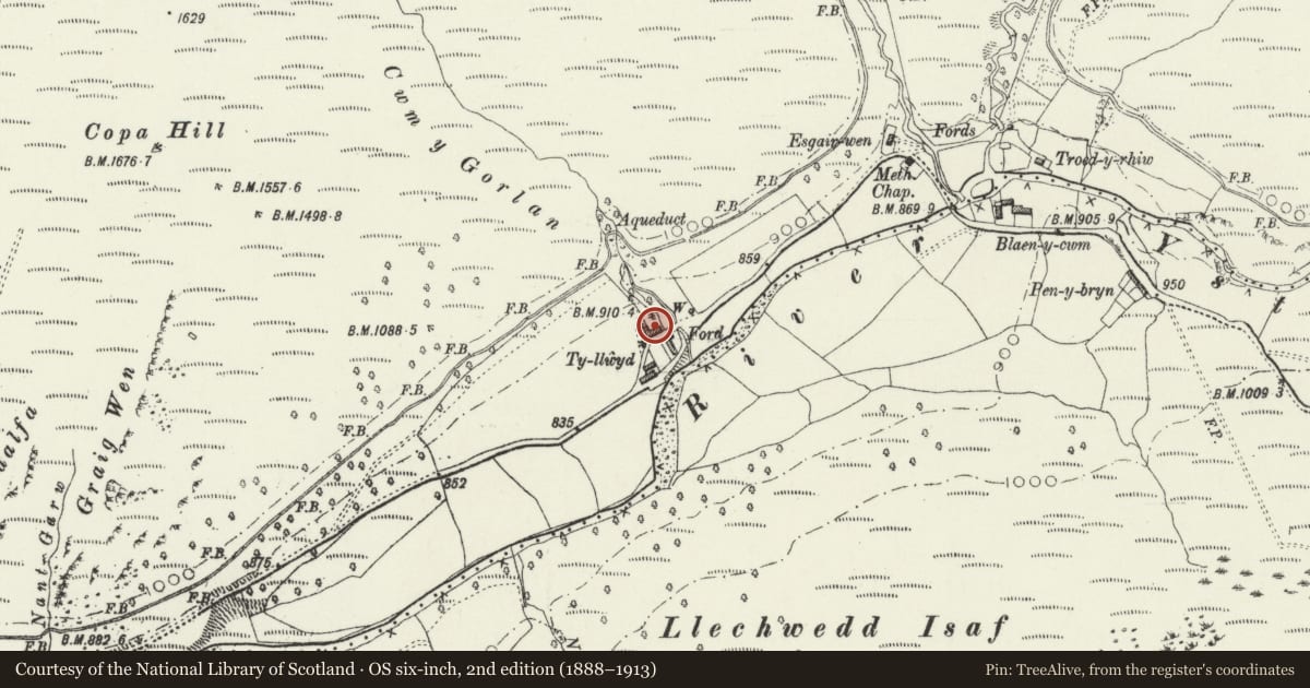 Ordnance Survey six-inch map, 2nd edition (1888–1913) covering the location of Ty-llwyd, Pontarfynach, Ceredigion, with a pin at the register's coordinates