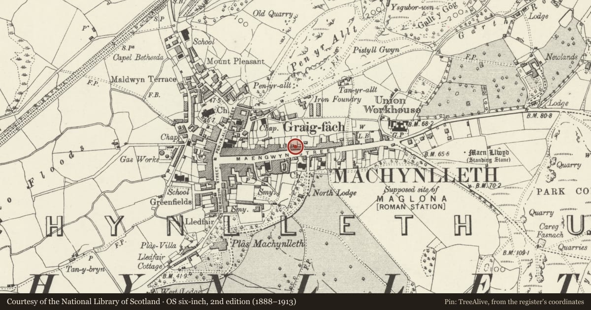 Ordnance Survey six-inch map, 2nd edition (1888–1913) covering the location of 63 Heol Maengwyn, Machynlleth, Powys, with a pin at the register's coordinates